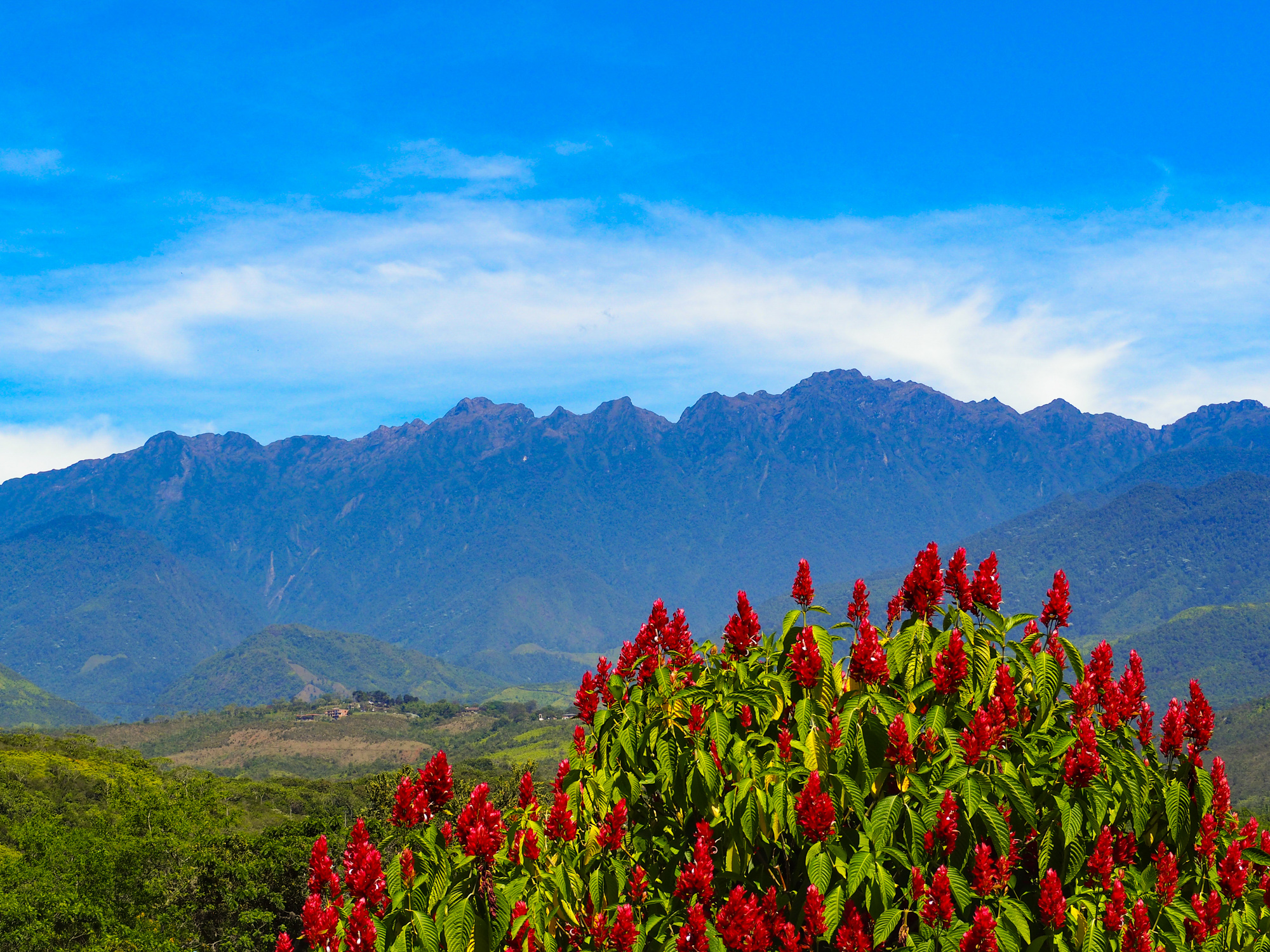 Parque Nacional Natural Los Farallones